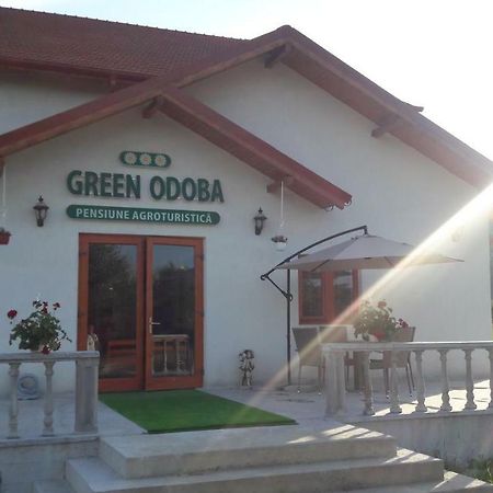 Pensiunea Agroturistica Green Odoba Sătuc 외부 사진