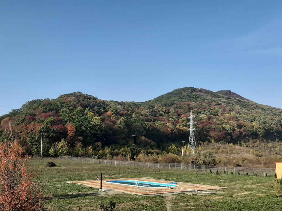 Pensiunea Agroturistica Green Odoba Sătuc 외부 사진