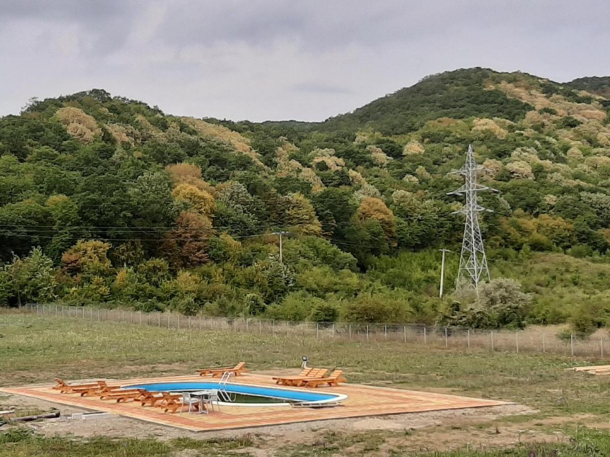 Pensiunea Agroturistica Green Odoba Sătuc 외부 사진
