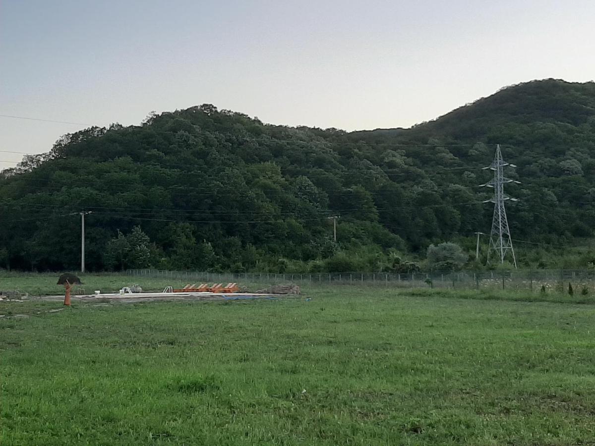 Pensiunea Agroturistica Green Odoba Sătuc 외부 사진