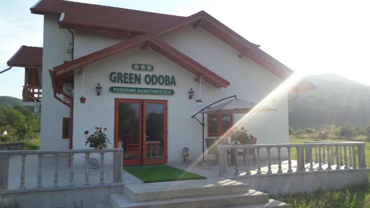 Pensiunea Agroturistica Green Odoba Sătuc 외부 사진