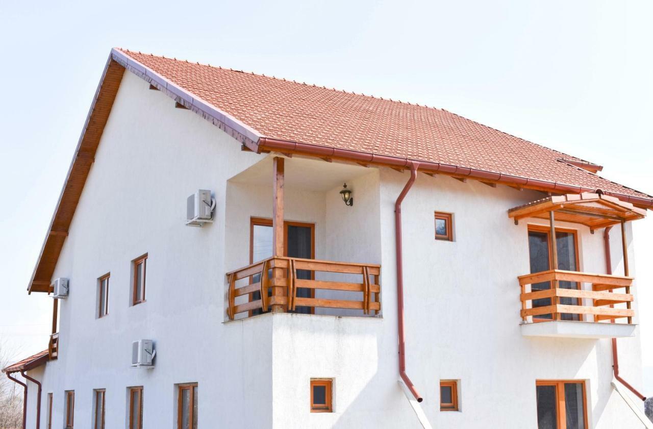 Pensiunea Agroturistica Green Odoba Sătuc 외부 사진