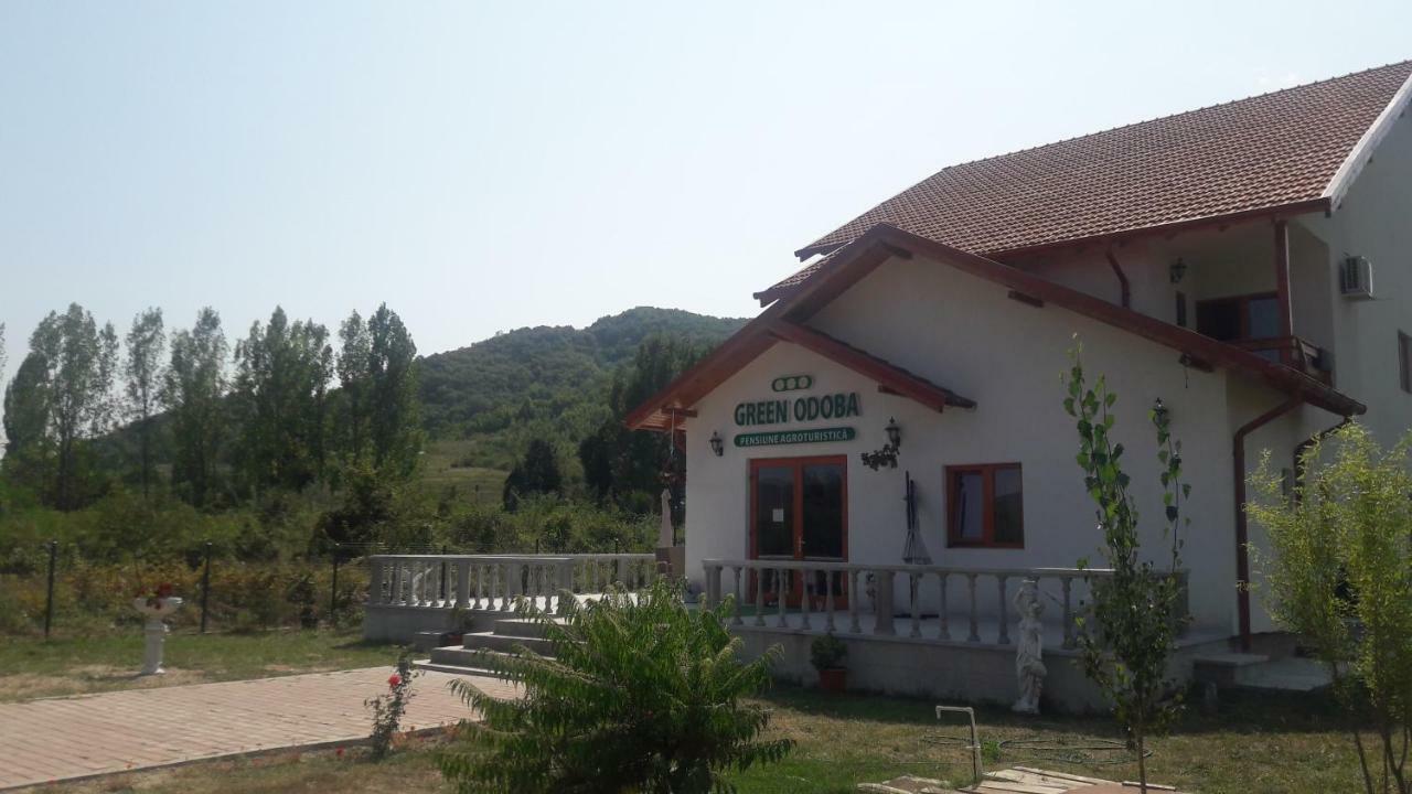 Pensiunea Agroturistica Green Odoba Sătuc 외부 사진