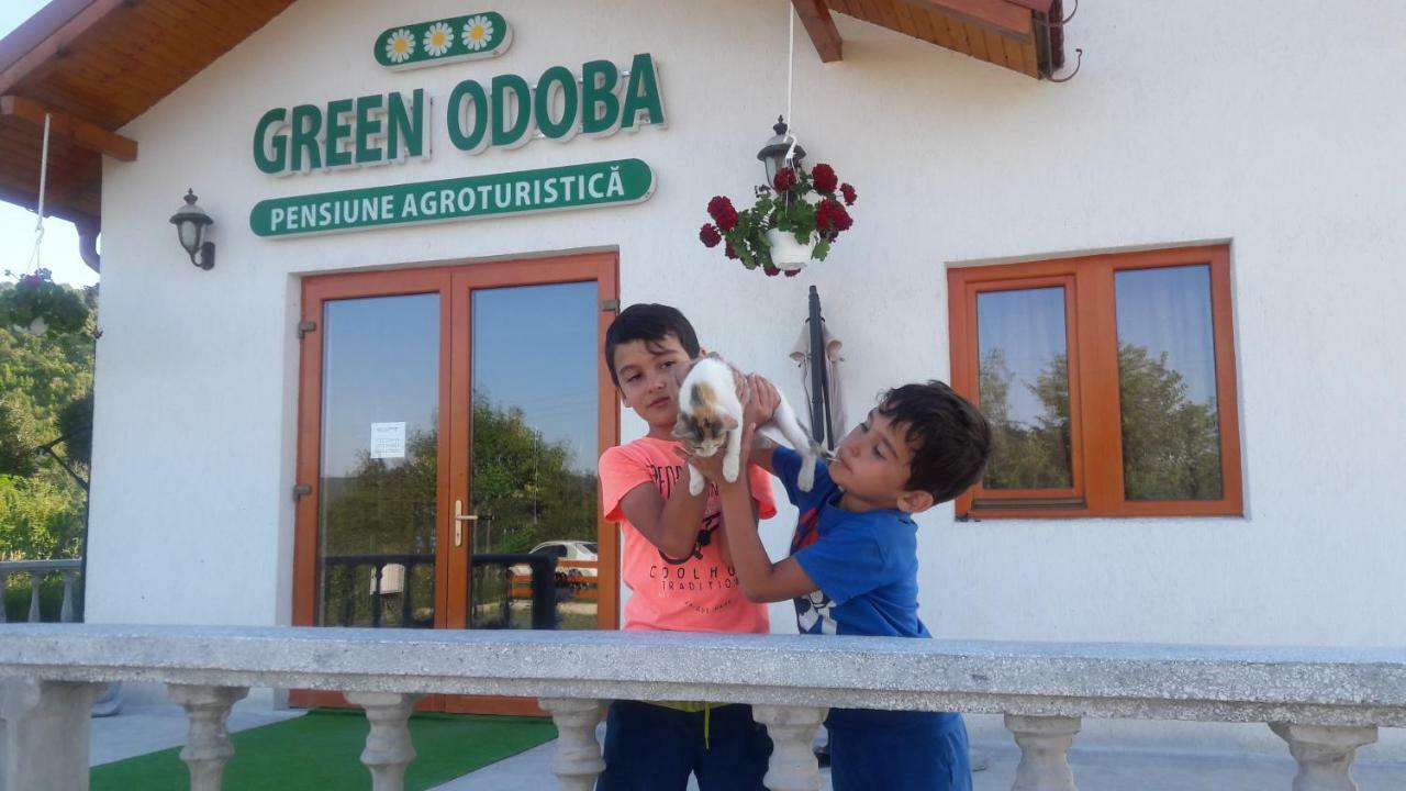 Pensiunea Agroturistica Green Odoba Sătuc 외부 사진